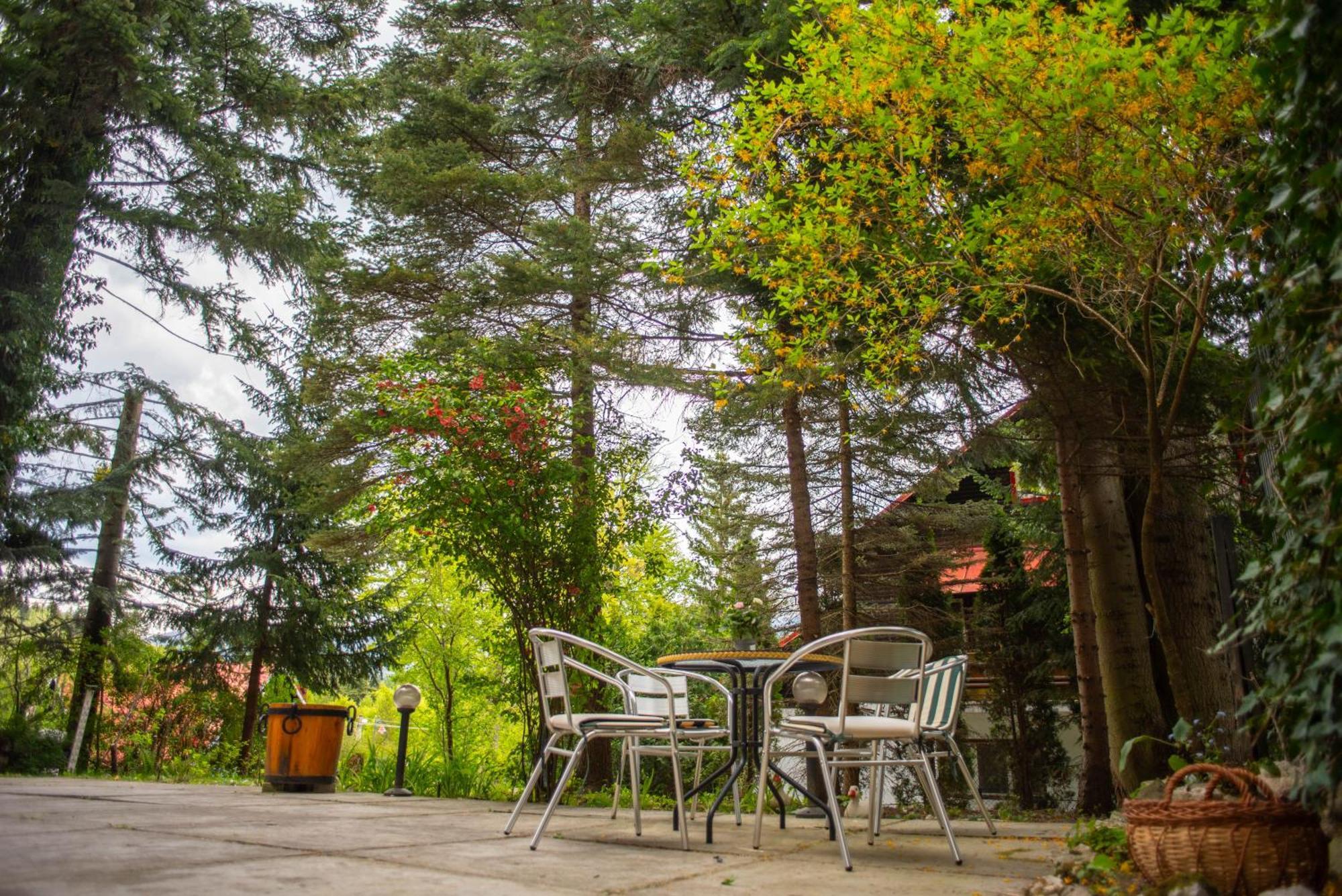 Villa Sara In Sinaia Near Peles & Gondola 外观 照片