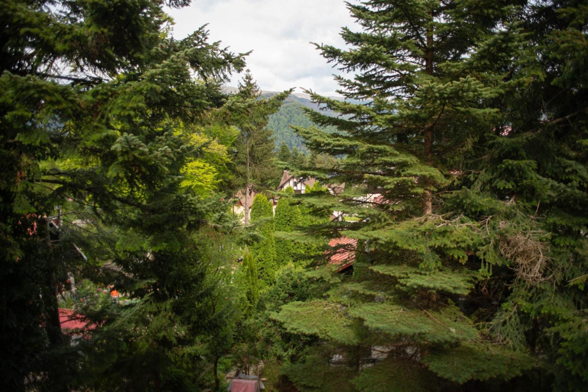 Villa Sara In Sinaia Near Peles & Gondola 外观 照片